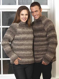 Patent knit raglan sweater