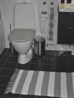 Bathroom mat, toilet seat and toilet roll holder