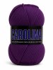 Carolina Purple 867