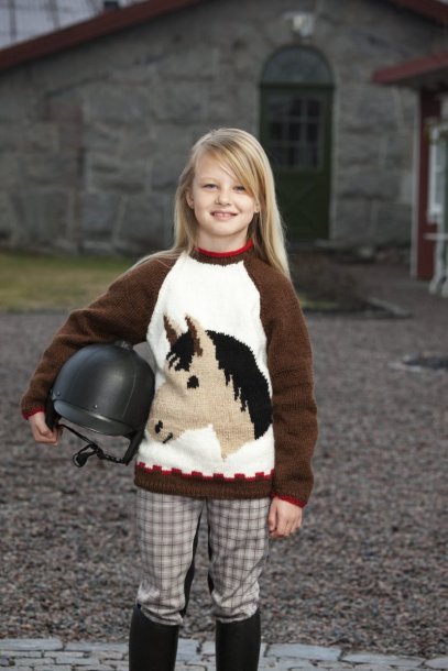 Sweater with horse head